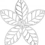 Butterfield Color Arbor Leaf Concrete Stamp