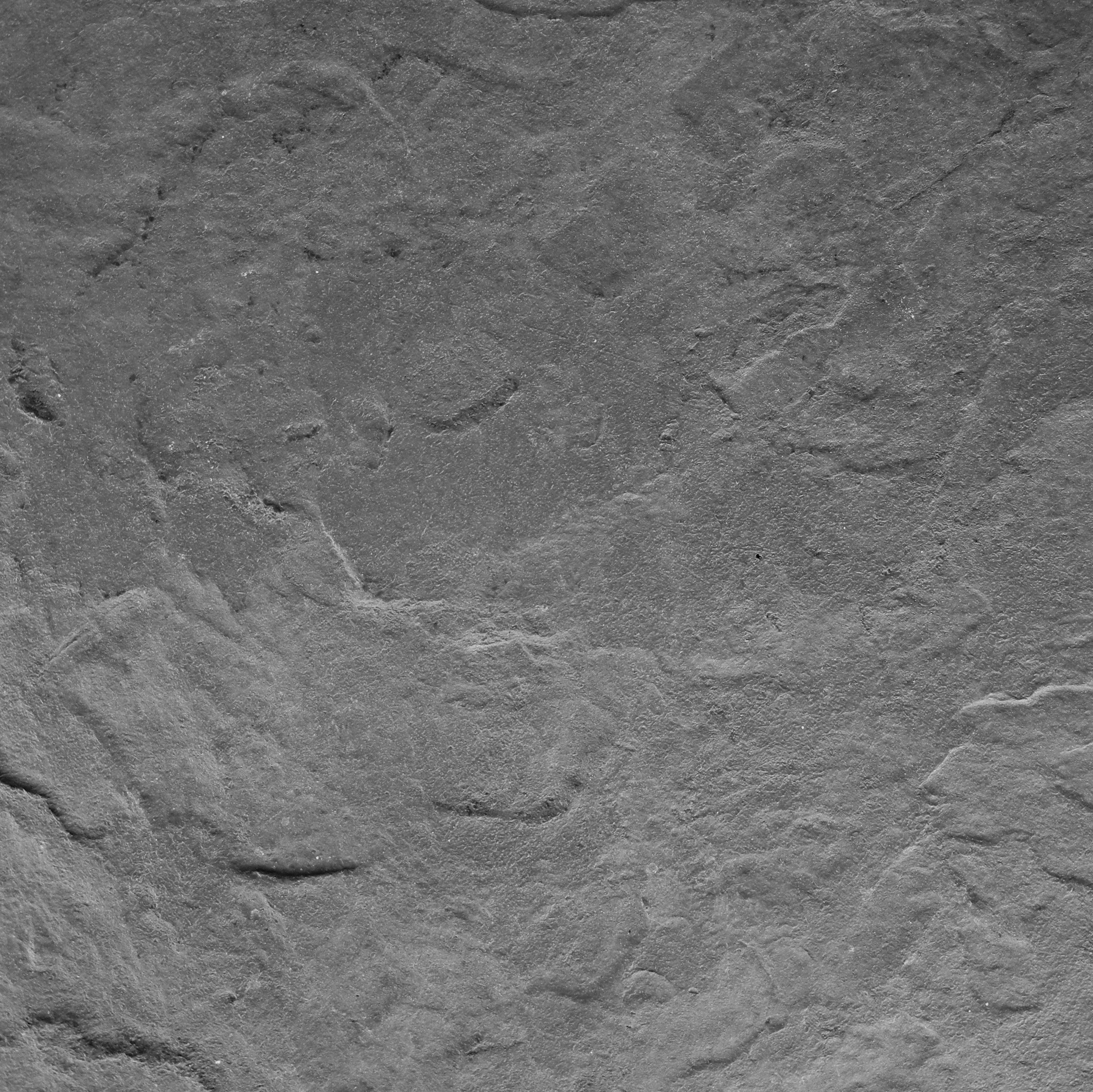 Seamless Grey Ostrich Slate Texture – Modern House