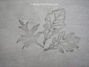 Butterfield Color Oak Leaf Concrete Stamp
