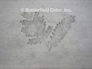 Butterfield Color Honey Locust Leaf Cluster Stamp