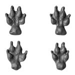 Butterfield Color Coyote Front & Rear Paw Print – Set of Four