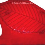 Butterfield Color Elm Leaf Concrete Stamp
