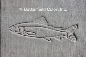 Butterfield Color Lake Trout Concrete Stamp