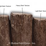 Butterfield Color Light Bark Texture Touch-up Skin