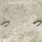 Butterfield Color Set Of Numbers 0-9