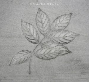Butterfield Color Ash Leaf Cluster Concrete Stamp