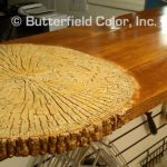 Butterfield Color 21″ Timber End Grain Round Texture Skin